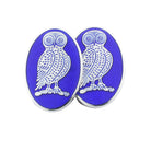 beady eyed owl enamalled cufflinks -main